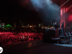 06_Pfel_Greem_FreeMusic_2016_06