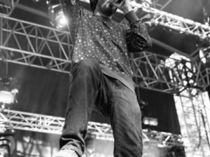 08_Hippocampe_Fou_FreeMusic_2016_01