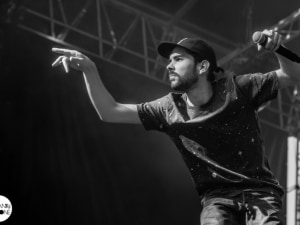 08_Hippocampe_Fou_FreeMusic_2016_02