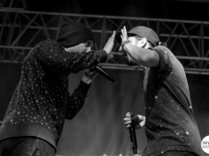 08_Hippocampe_Fou_FreeMusic_2016_05