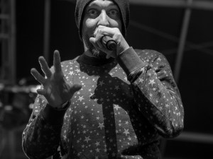 08_Hippocampe_Fou_FreeMusic_2016_06