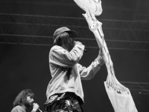 13_Salut_C_est_Cool_Free_Music_2016_04