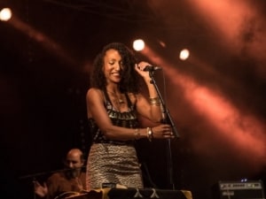 festval-bout-du-monde-samedi_052
