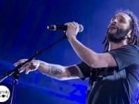 Alborosie - Au Fil Du Son 2014 - Benjamin Pavone