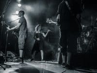 As de trefle - Au Fil Du Son 2014 - Benjamin Pavone