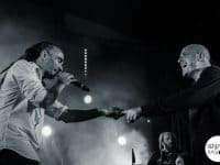 Sinsemilia - Au Fil Du Son 2014 - Benjamin Pavone