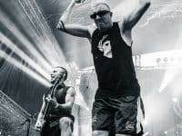 Ska P - Au Fil Du Son 2014 - Benjamin Pavone