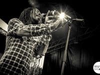 The Banyans - Au Fil Du Son 2014 - Benjamin Pavone