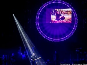 australian-pink-floyd-bordeaux-2017017