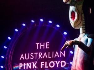australian-pink-floyd-bordeaux-2017021