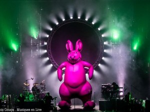 australian-pink-floyd-bordeaux-2017028