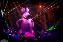 Australian Pink Floyd Show 2020