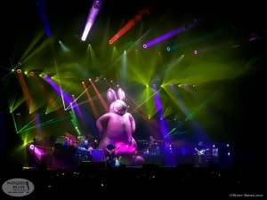 Australian-Pink-Floyd-Show_2020_009