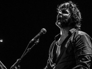 Condor Palmer 2016-23