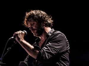 Condor Palmer 2016-24