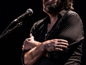 Condor Palmer 2016-28