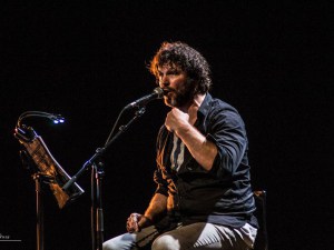 Condor Palmer 2016-29