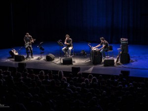 Condor Palmer 2016-31