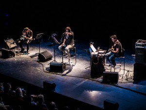 Condor Palmer 2016-32