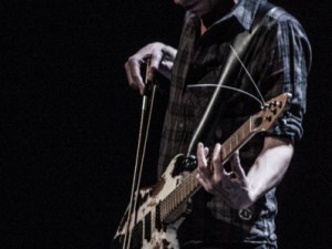 Condor Palmer 2016-6