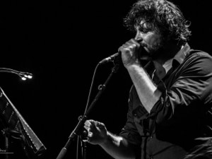 Condor Palmer 2016-7