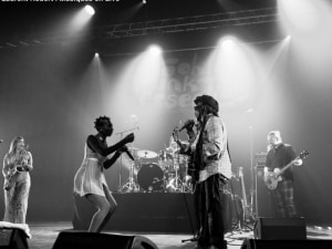 Brooklyn Funk Essentials (14)