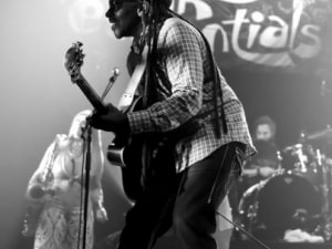 Brooklyn Funk Essentials (21)