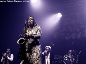 Brooklyn Funk Essentials (3)