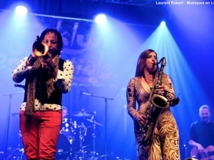 Brooklyn Funk Essentials (4)