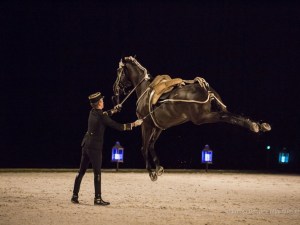 Cadres_Noir_Bordeaux_2018_003