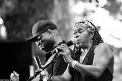 CBP2025_CHICAGO-BLUES-SUMMER-TOUR_05