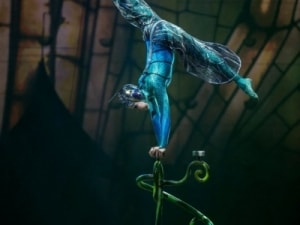 Cirque_du_Soleil_Ovo_2018_013