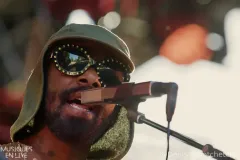 C-10.Curtis-Harding_Cognac-2026