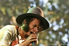 D-13.Fantastic-Negrito_Cognac-2026