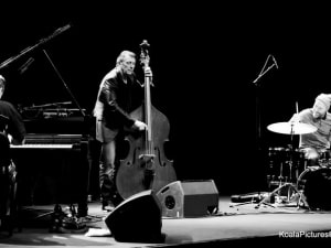 The-Dave-king-trio_005