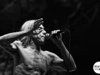 Iggy Pop and the Stooges
