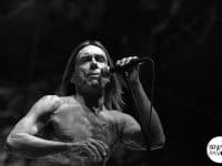 Iggy Pop and the Stooges