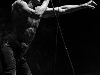 Iggy Pop and the Stooges