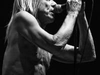 Iggy Pop and the Stooges