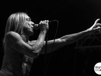Iggy Pop and the Stooges
