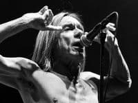 Iggy Pop and the Stooges