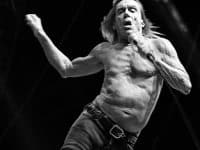Iggy Pop and the Stooges