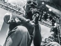 FFF - Deferlantes 2014 - Benjamin Pavone