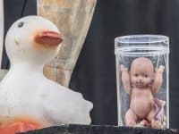 Giedre - Deferlantes 2014 - Benjamin Pavone