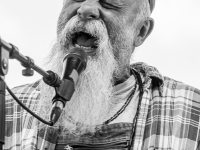 Seasick Steve - Deferlantes 2014 - Benjamin Pavone