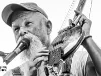 Seasick Steve - Deferlantes 2014 - Benjamin Pavone