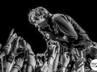 Phoenix - Deferlantes 2014 - Benjamin Pavone