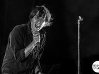 Phoenix - Deferlantes 2014 - Benjamin Pavone