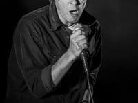 Phoenix - Deferlantes 2014 - Benjamin Pavone