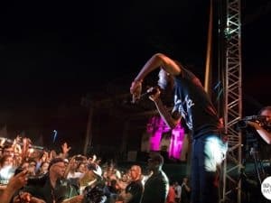 SkipTheUse_Deferlantes2015_04